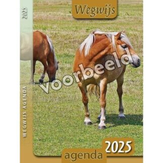 Wegwijsagenda 2025