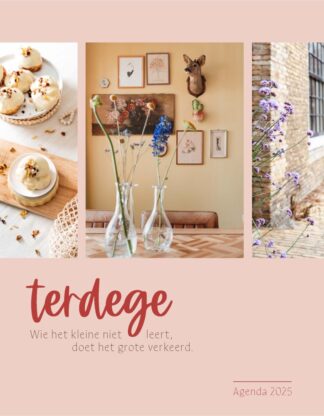 Terdege agenda 2025