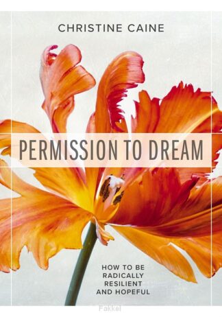 product afbeelding voor: Permission to dream