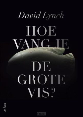 product afbeelding voor: Hoe vang je de grote vis?