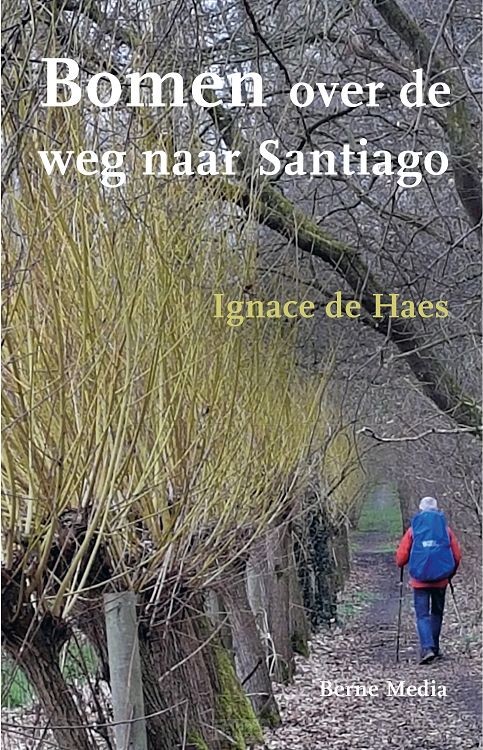 product afbeelding voor: Bomen over de weg naar santiago