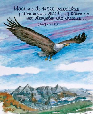 product afbeelding voor: Ik ben blij! Ik? de Heere Jezus