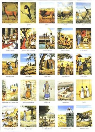 product afbeelding voor: Beloningsplaatjes BM2 synagoge lelie enz