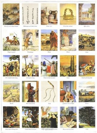 product afbeelding voor: Beloningsplaatjes BM3 wijze en de dwaze