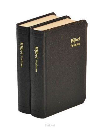 product afbeelding voor: Herenzakbijbel H31R RITMISCH kunstleer