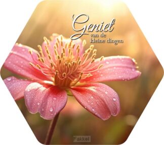 product afbeelding voor: Geniet van de kleine dingen