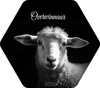 product afbeelding voor: Lam Overwinnaar