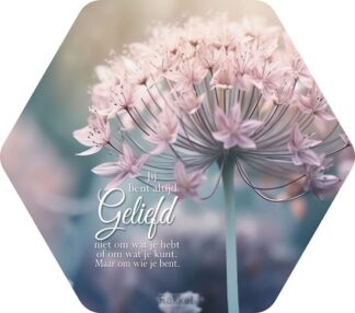 product afbeelding voor: Jij bent altijd geliefd