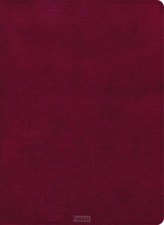 product afbeelding voor: CSB - Holy Land Illusdtrated Bible