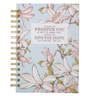 product afbeelding voor: Plans to Prosper You - Jeremiah 29:11