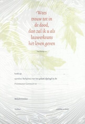 product afbeelding voor: Belijdeniskaart 302