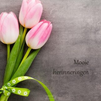 product afbeelding voor: Notitieboek tulp + elastieken sluiting