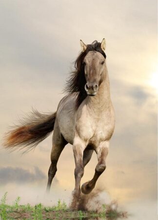 product afbeelding voor: Notitieboek stardust