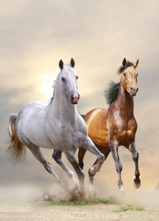 product afbeelding voor: Notitieboek chief & lady