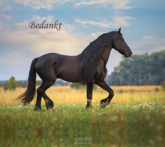 product afbeelding voor: Notitieboek adelheid bedankt