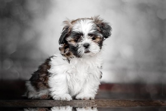 product afbeelding voor: Teken-plak- en schrijfboek finn