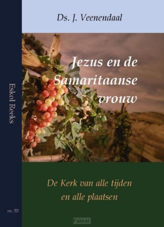 product afbeelding voor: Jezus en de samaritaanse vrouw