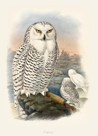 product afbeelding voor: Notitieboek santo