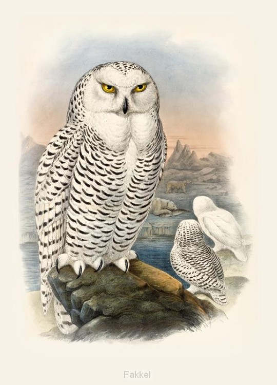 product afbeelding voor: Notitieboek santo