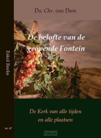 product afbeelding voor: Belofte van de geopende fontein
