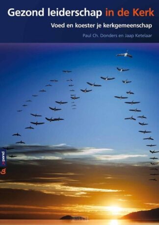product afbeelding voor: Gezond leiderschap in de kerk