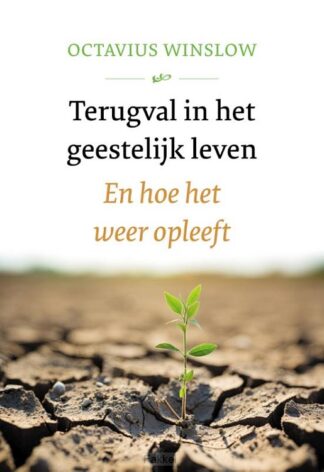 product afbeelding voor: Terugval in het geestelijk leven