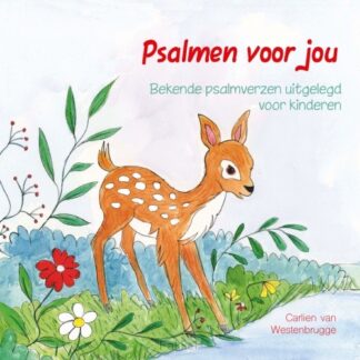 product afbeelding voor: Psalmen voor jou