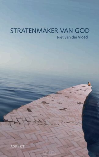 product afbeelding voor: Stratenmaker van God