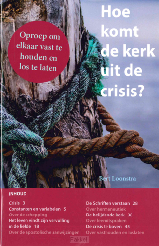 product afbeelding voor: Hoe komt de kerk uit de crisis?