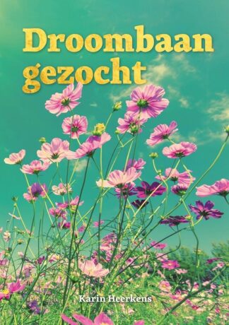 product afbeelding voor: Droombaan gezocht