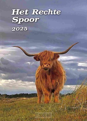 product afbeelding voor: Rechte spoor 2025